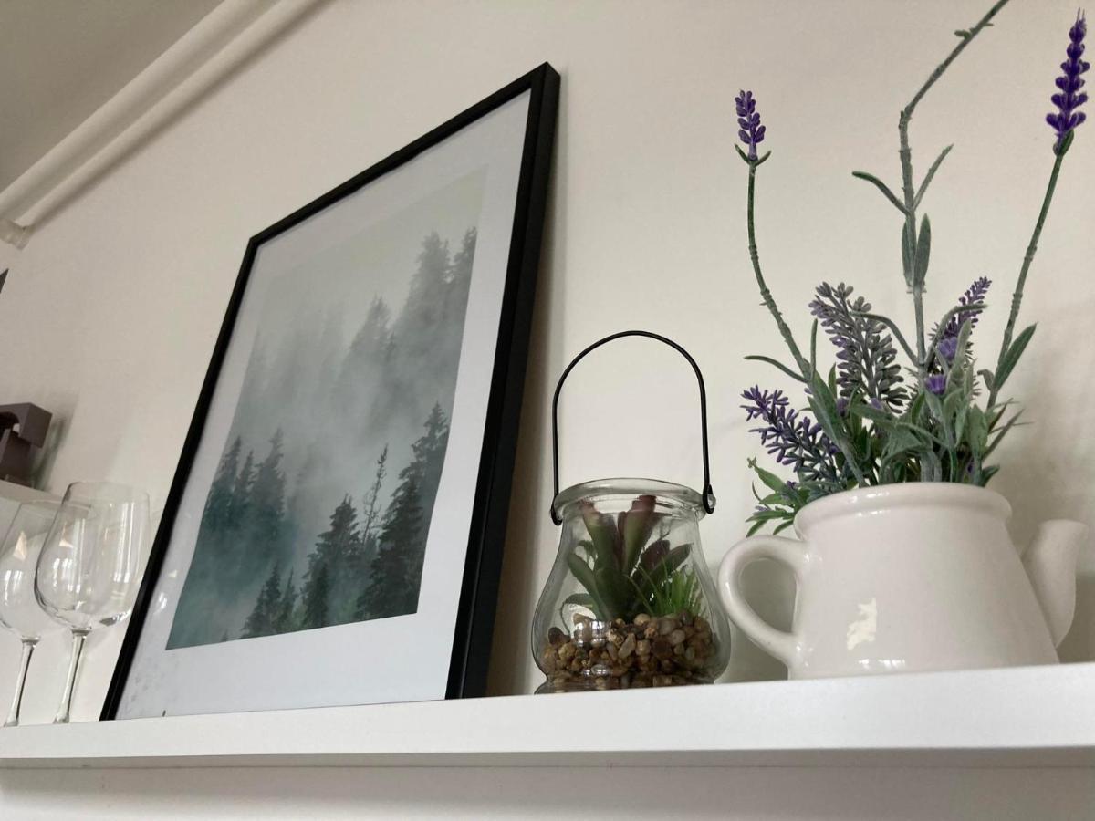 Apartament Miodowa 9 Zwierzyniec ภายนอก รูปภาพ