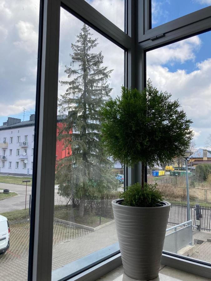 Apartament Miodowa 9 Zwierzyniec ภายนอก รูปภาพ